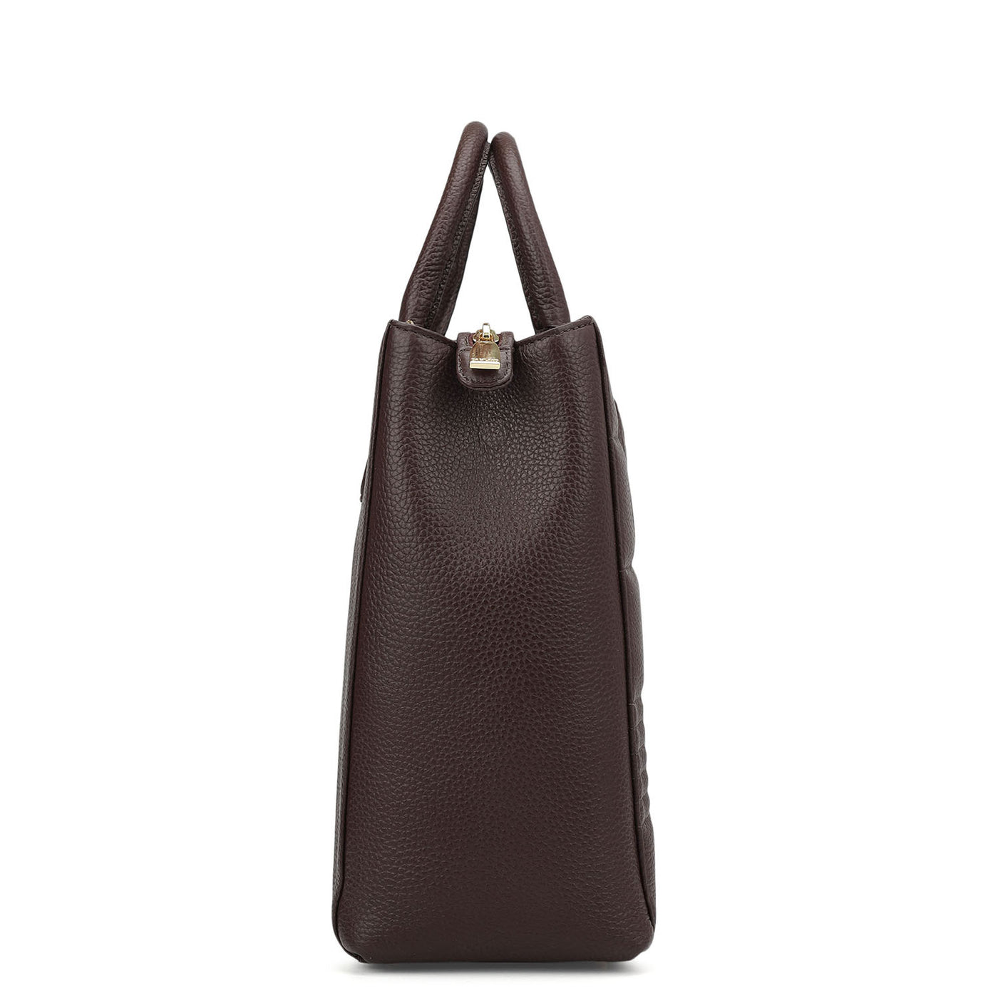 Large Wax Stripe Leather Book Tote - Berry