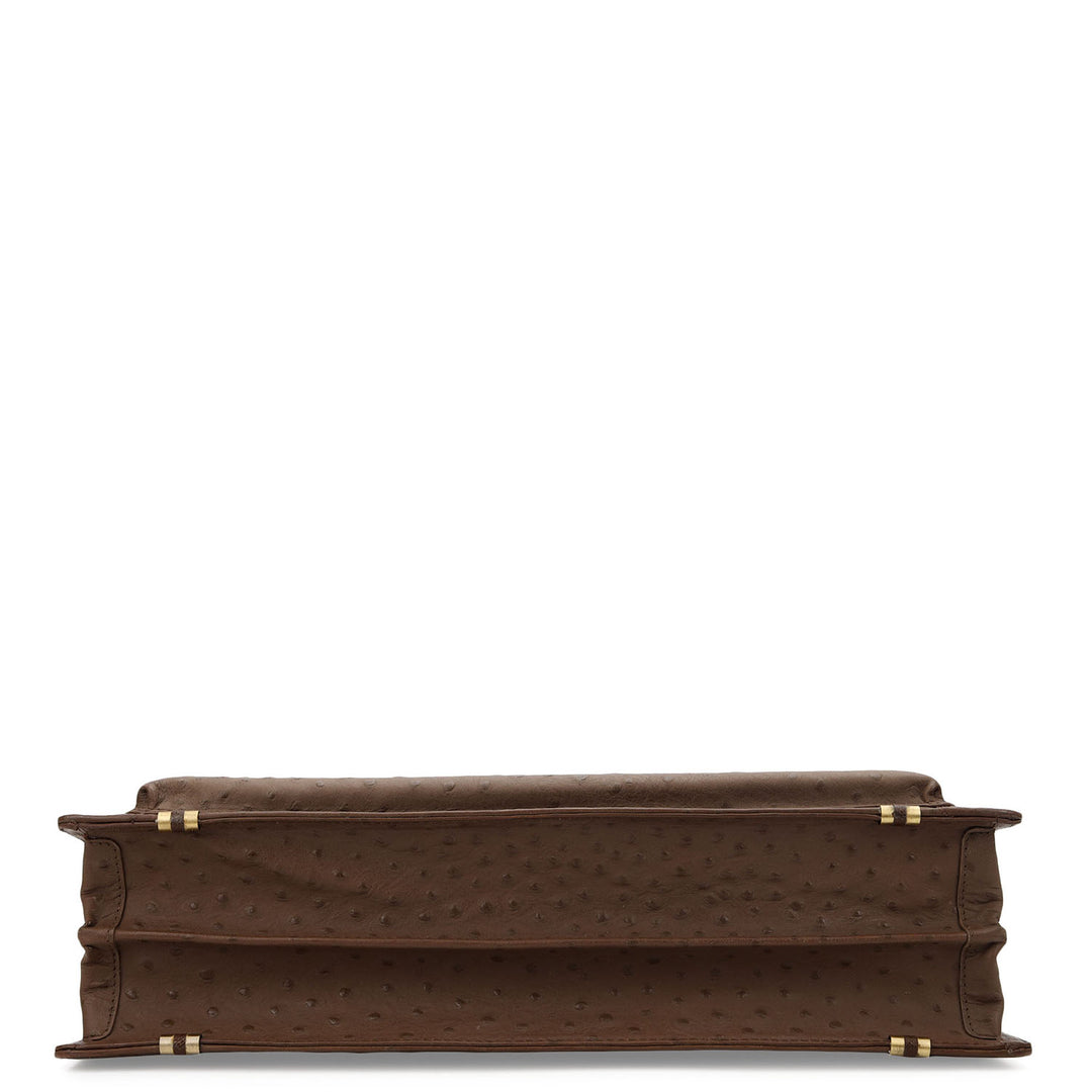Ostra Portfolio - Walnut