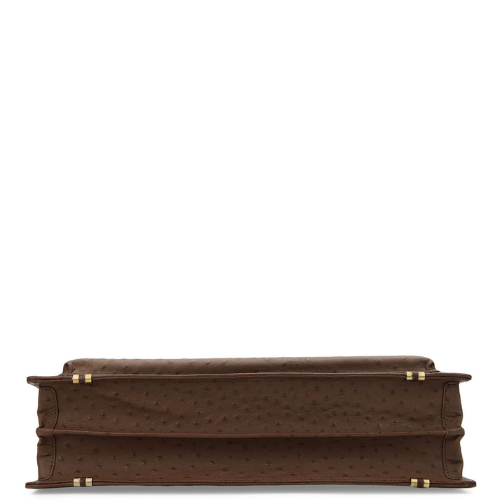 Ostra Portfolio - Walnut